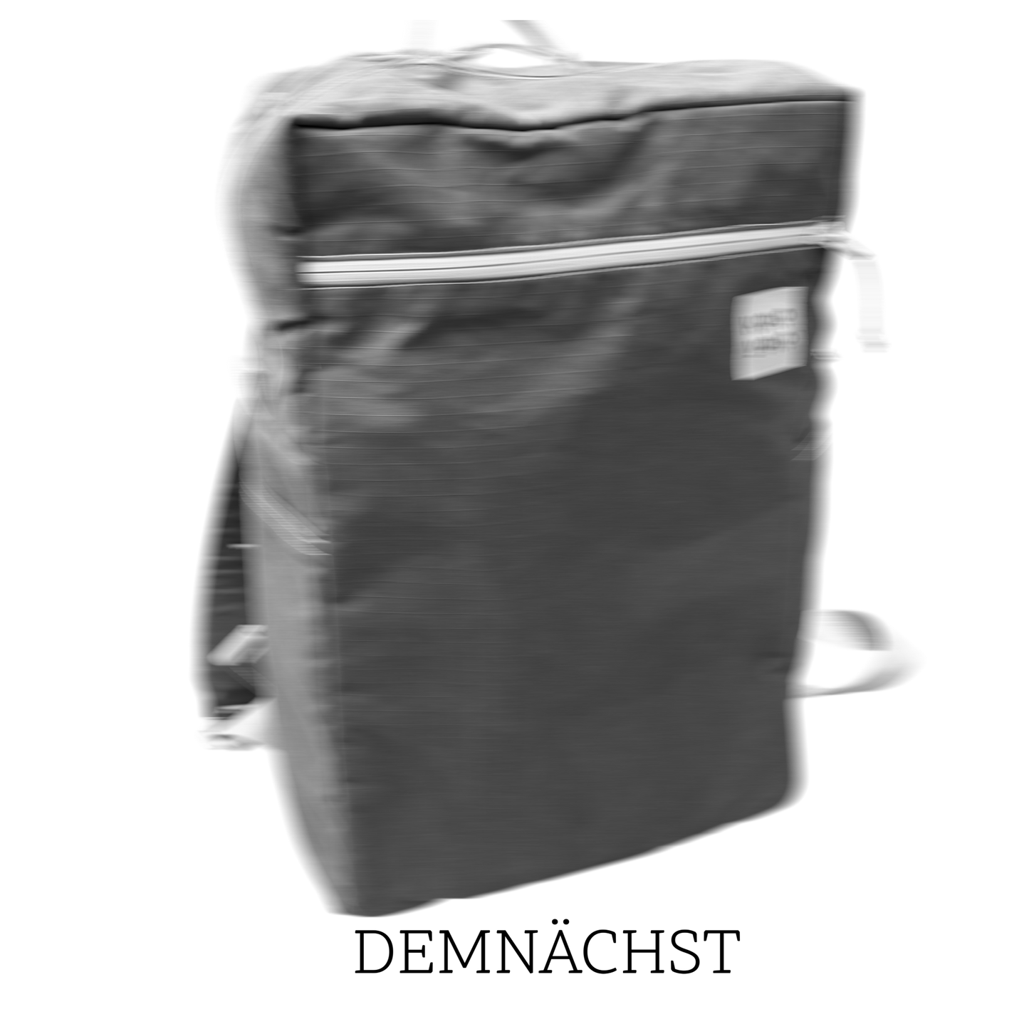 TRAVELLER BACK PACK